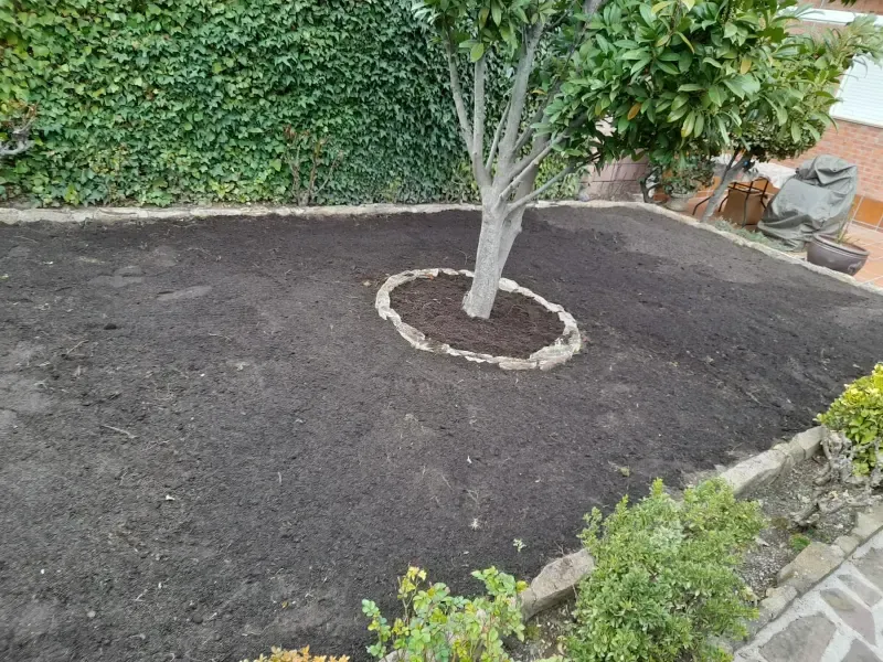 Preparación del terreno y alcorque de piedra alrededor de un árbol