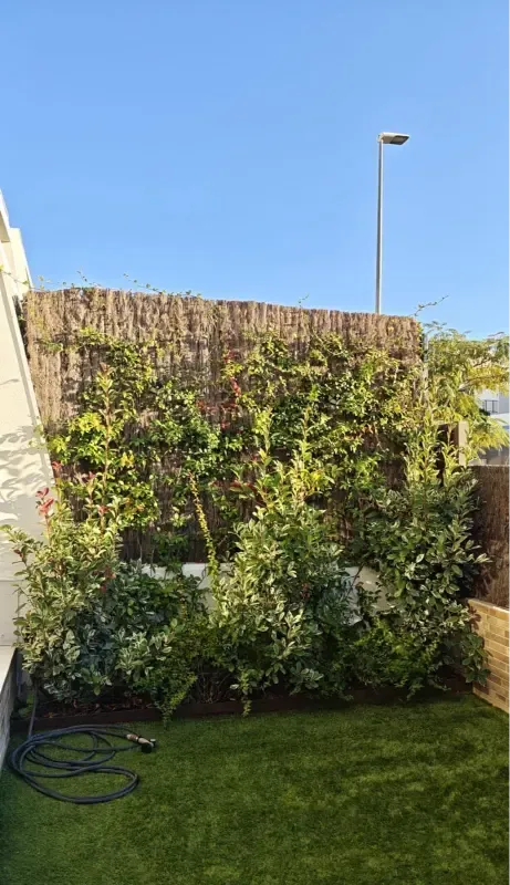 Celosía con plantas trepadoras sobre césped