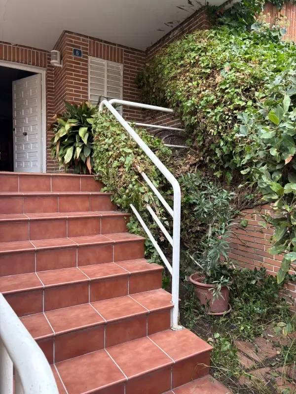 Escalera de entrada con hiedra recortada y perfilada