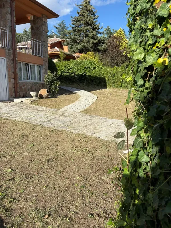 Jardín de chalet limpio con camino de piedra
