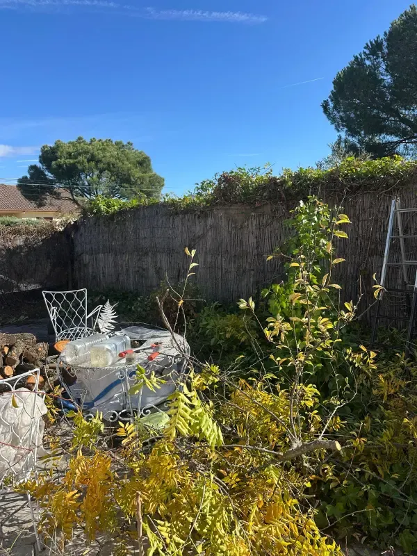 Jardín con maleza y restos vegetales antes del desbroce