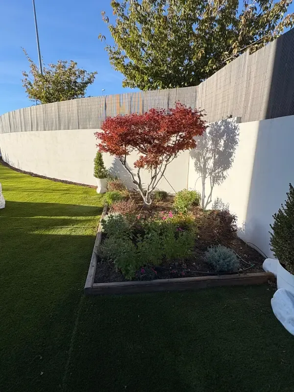 Parterre con arce japonés y bordura de madera sobre césped artificial
