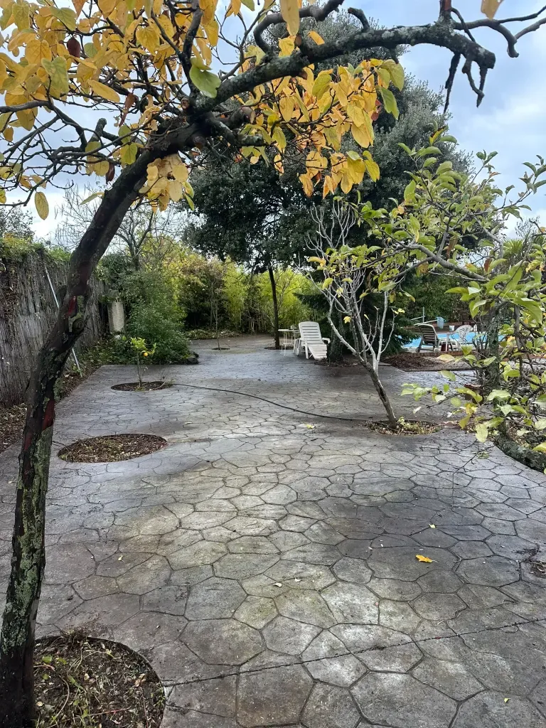 Patio arbolado con suelo de hormigón impreso